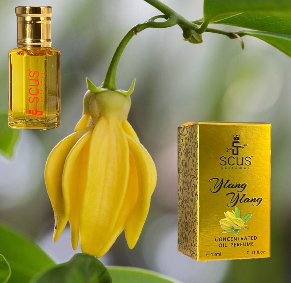 SCUS Perfumes Ylang Ylang 12 ML Concentrated Fragrance