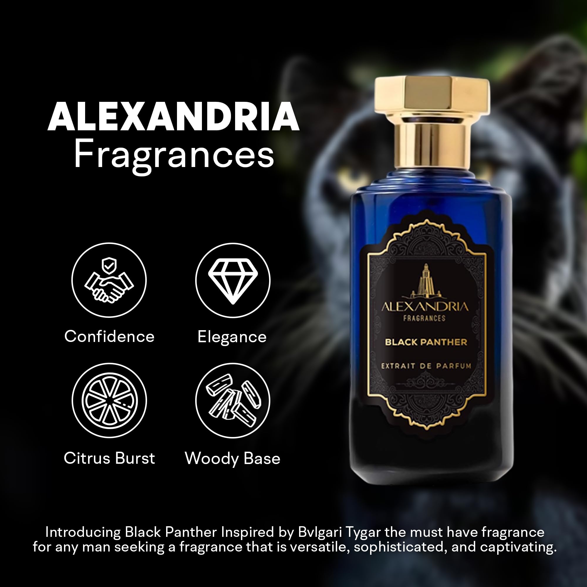 Arabian Horse – Alexandria Fragrances Bold Men's EDP