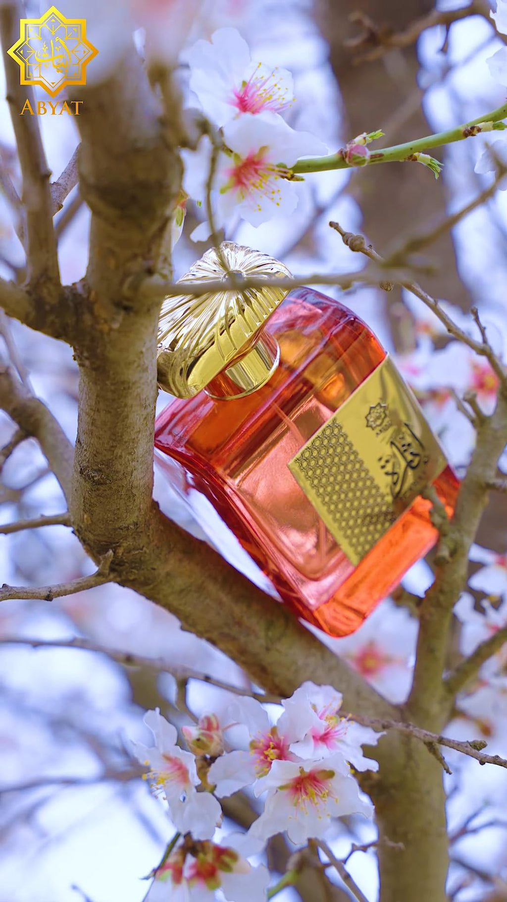 ABYAT Izarat - Eau de Parfum - 100 ml