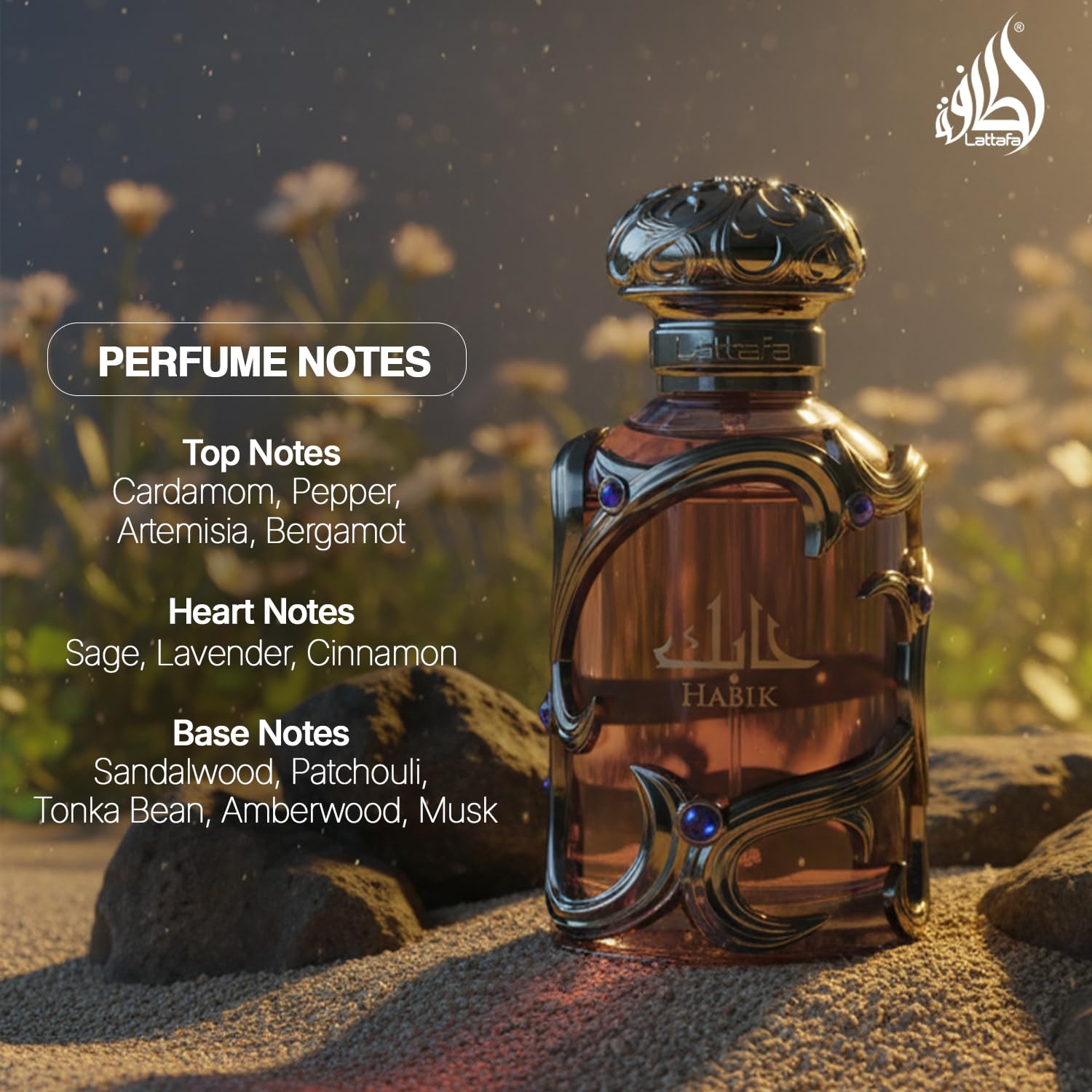 Magnetic Pull – Lattafa Habik Woody Aromatic EDP 3.4oz