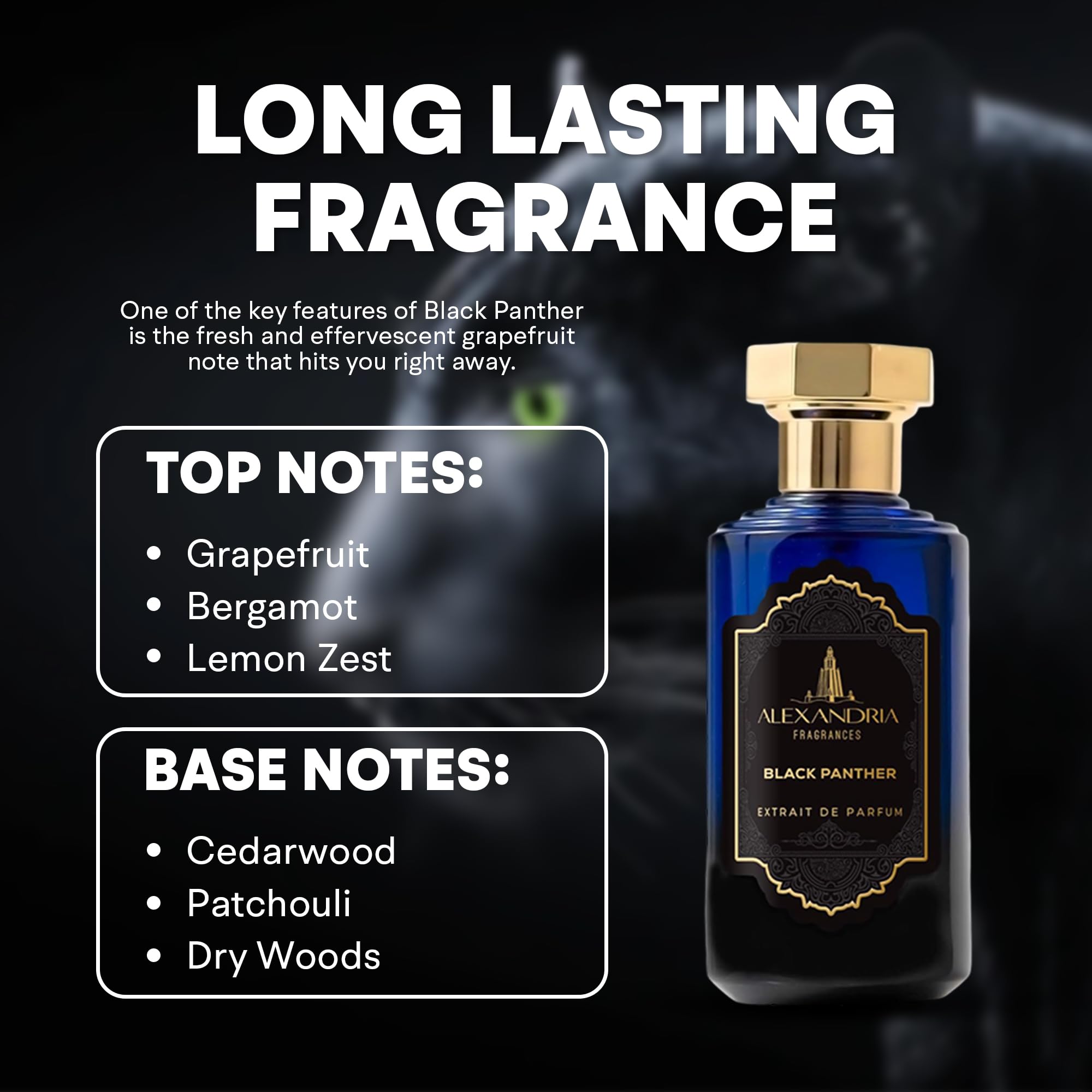 Arabian Horse – Alexandria Fragrances Bold Men's EDP