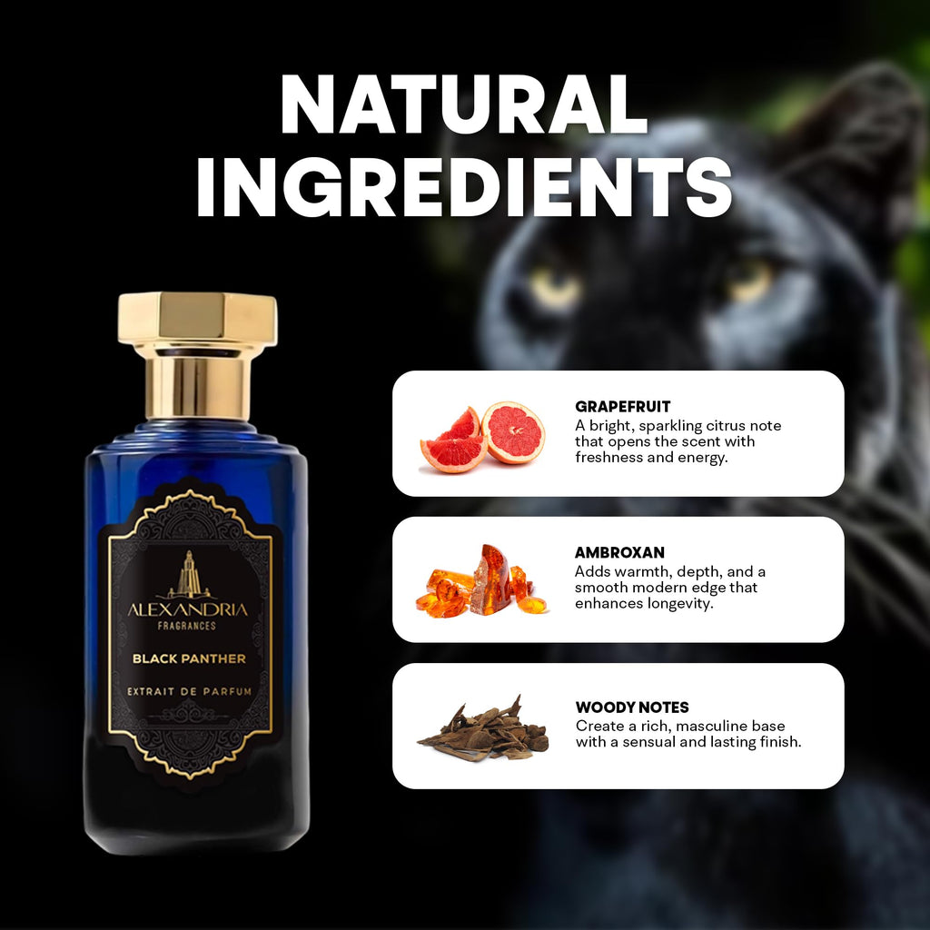 Arabian Horse – Alexandria Fragrances Bold Men's EDP