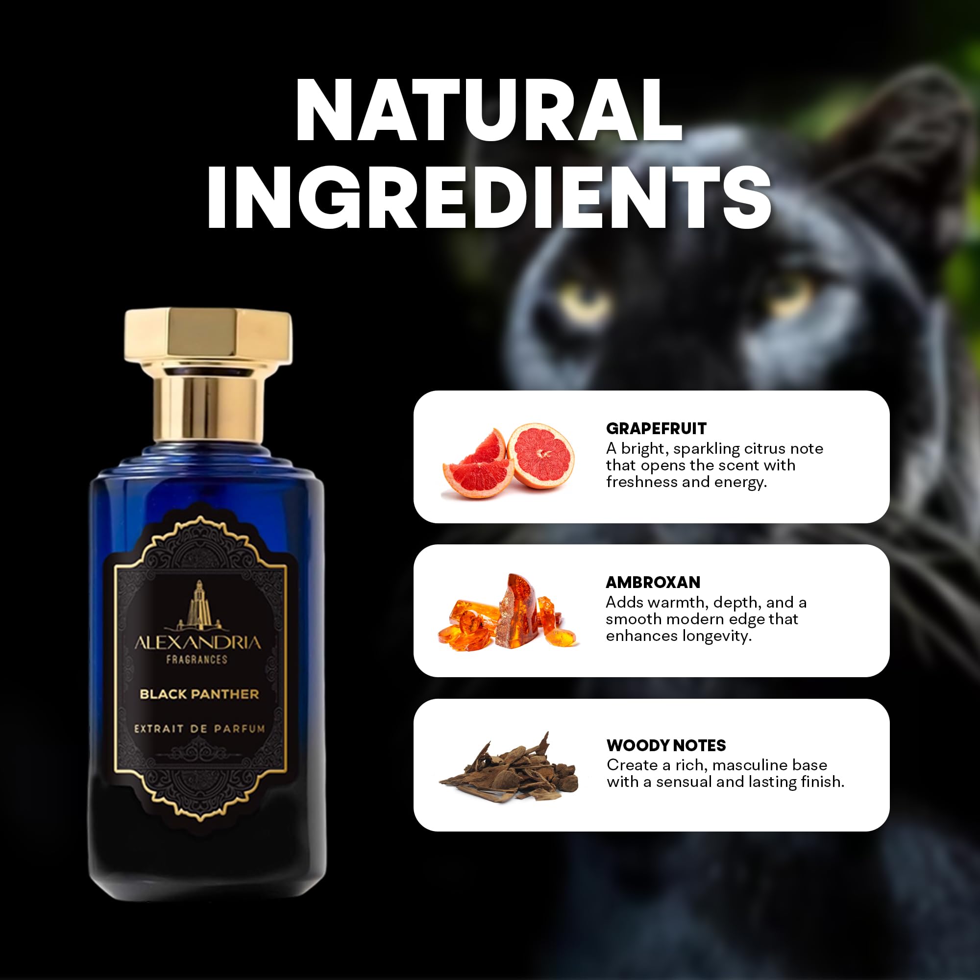 Arabian Horse – Alexandria Fragrances Bold Men's EDP