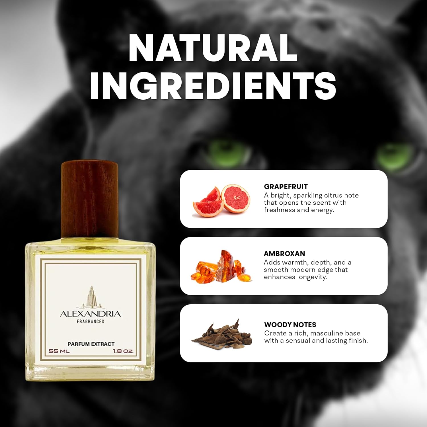 Arabian Horse – Alexandria Fragrances Bold Men's EDP