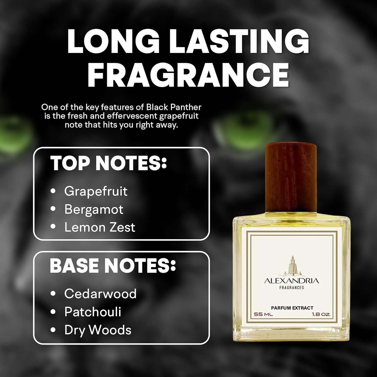 Arabian Horse – Alexandria Fragrances Bold Men's EDP