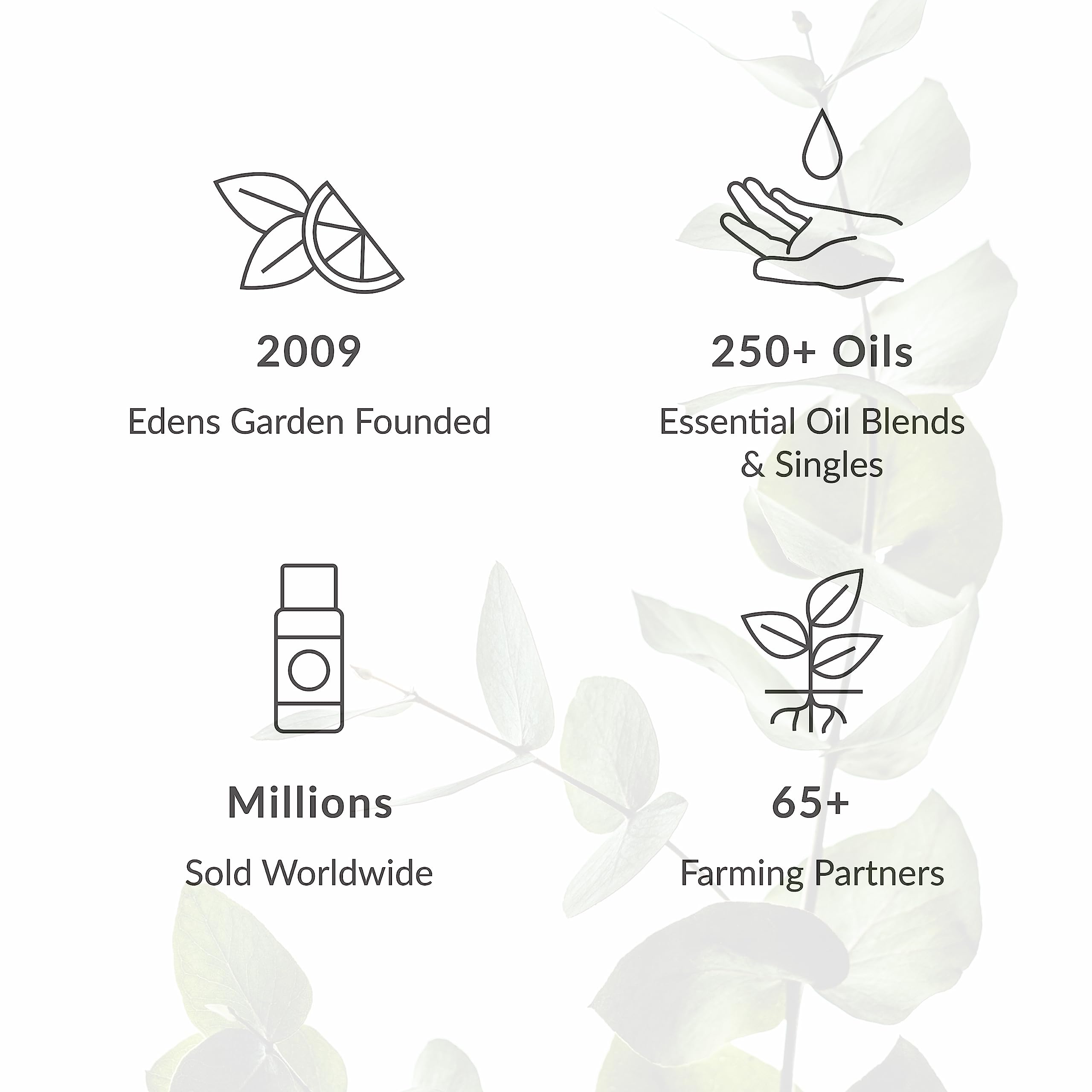 Edens Garden Jasmine Essential Oil Roll-On – Pre-Diluted Floral Blend, 100% Pure Aromatherapy & Natural Perfume, Calming Skin Safe Travel Roll-On, 10 ml (.33 fl oz)