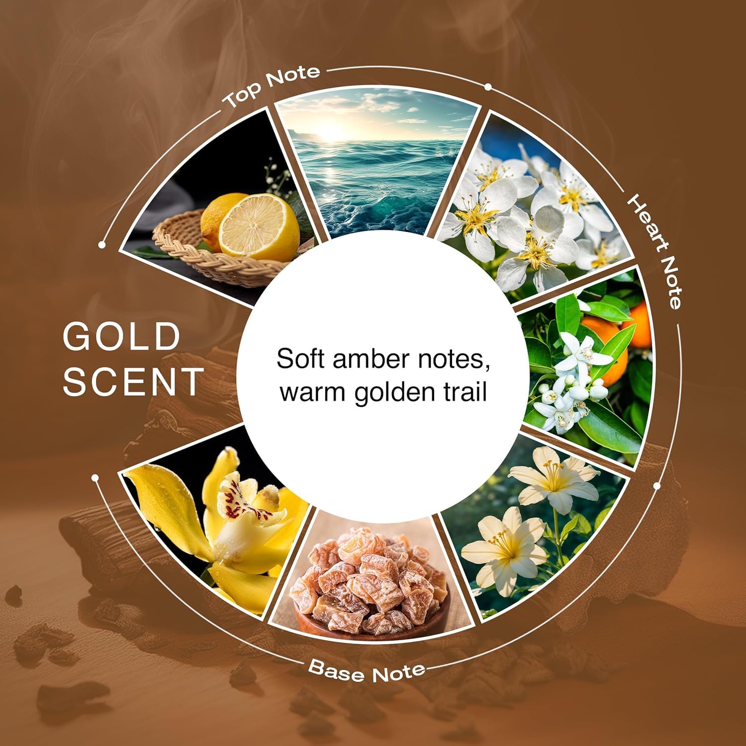 Next Care Sultan, Arabian Scent, Gold Scent & Shanaya Eau de Parfum – 25 ml Each (Pack of 4) | Long Lasting Scented Body Spray Set with Mineral Woody, Oud Rich Spicy, Amber & Floral Notes |