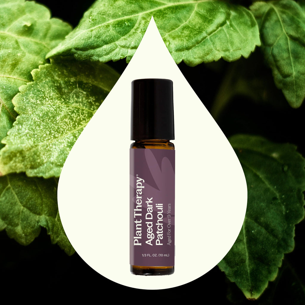 Plant Therapy Aged Dark Patchouli Essential Oil Roll-On 10 mL (1/3 oz) Pre-Diluted in Fractionated Coconut Oil, Long-Lasting, Personal Fragrance,100% Pure, Natural, Expertly Aged for Depth, Rich Aroma