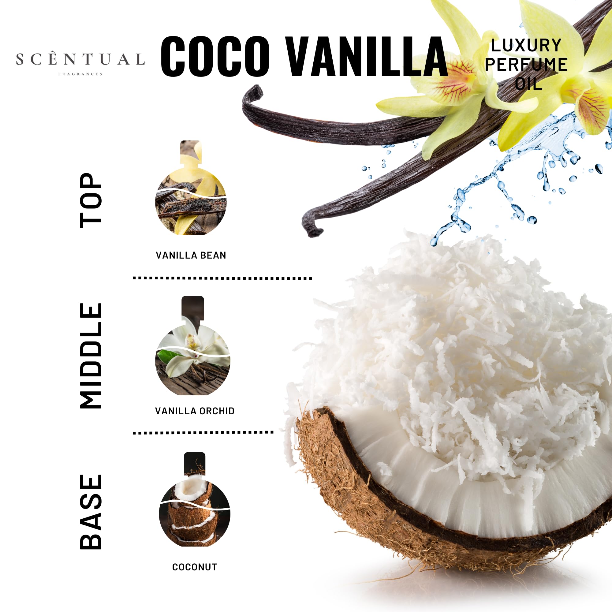 Coco Dream – Madagascar Coconut Vanilla Oil 10ml