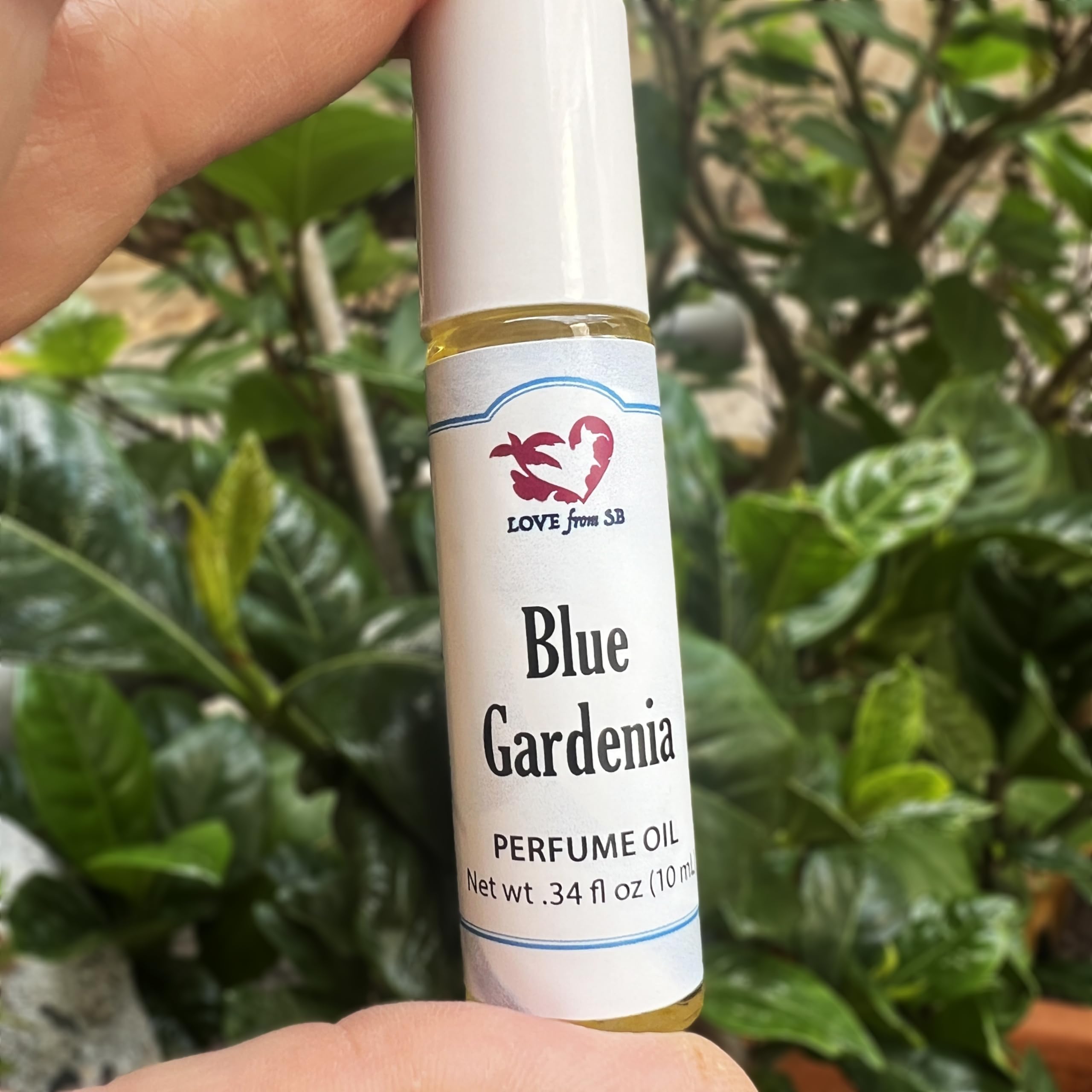 Blue Gardenia Perfume Oil | .03 oz/10 ml Roll On Bottle with Organic Jojoba Oil | Made in Santa Barbara, California (Blue Gardenia)